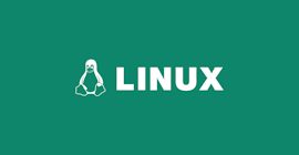 Linux logo.